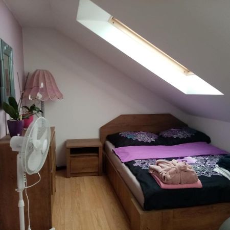 Podkrovni Apartman Tereza Διαμέρισμα Rumburk Εξωτερικό φωτογραφία