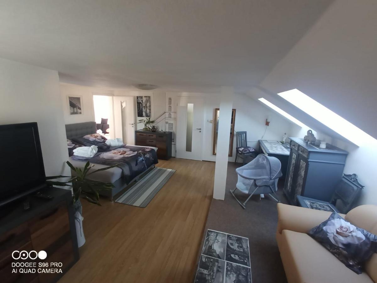 Podkrovni Apartman Tereza Διαμέρισμα Rumburk Εξωτερικό φωτογραφία