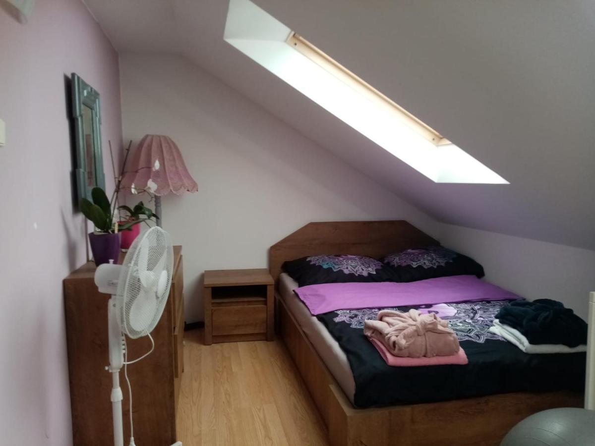 Podkrovni Apartman Tereza Διαμέρισμα Rumburk Εξωτερικό φωτογραφία