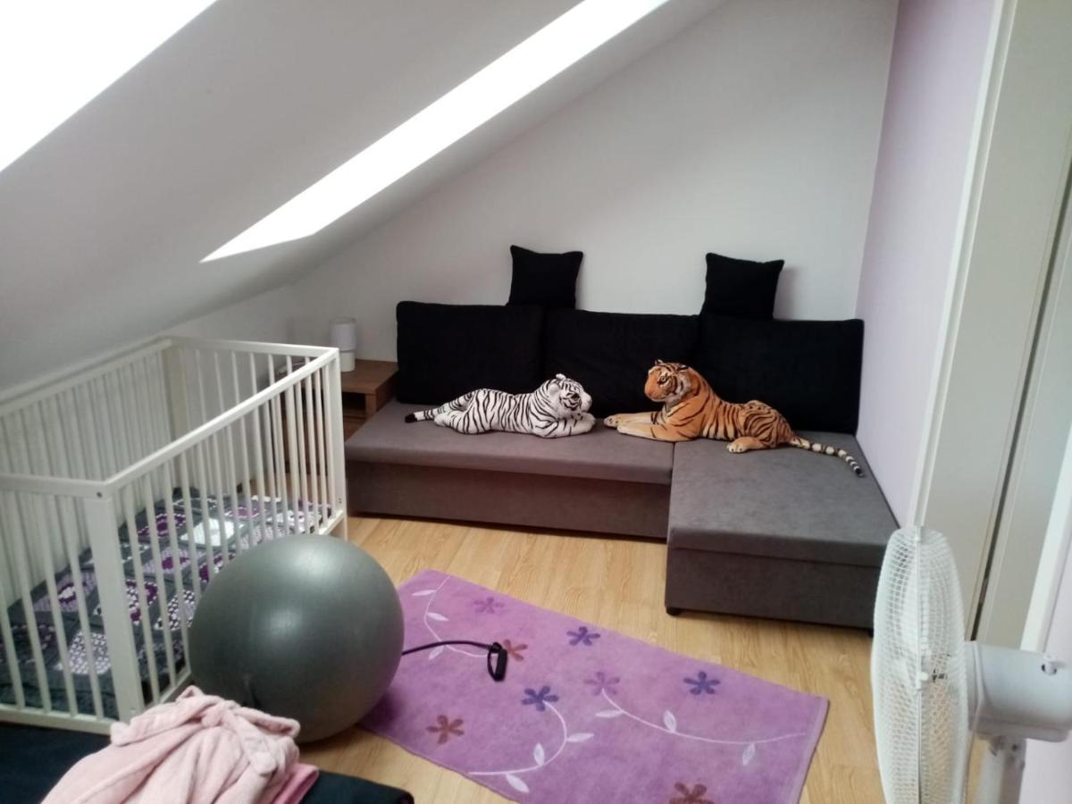 Podkrovni Apartman Tereza Διαμέρισμα Rumburk Εξωτερικό φωτογραφία